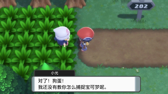《寶可夢晶燦鉆石明亮珍珠》一周目圖文攻略分享