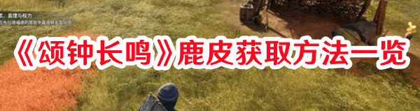 《頌鐘長鳴》鹿皮獲取方法一覽