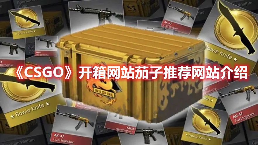 《CSGO》開箱網(wǎng)站茄子推薦網(wǎng)站介紹