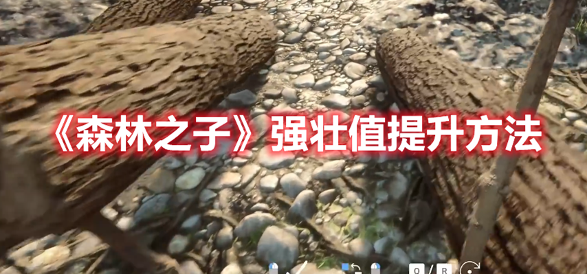 《森林之子》強(qiáng)壯值提升方法