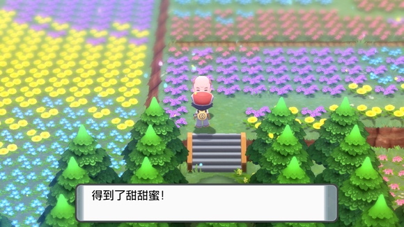 《寶可夢晶燦鉆石明亮珍珠》一周目圖文攻略分享