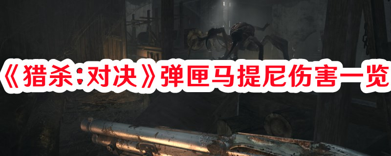 《獵殺：對決》彈匣馬提尼傷害一覽