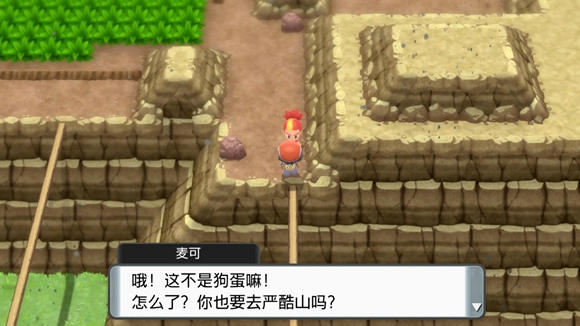 《寶可夢晶燦鉆石明亮珍珠》二周目圖文攻略流程分享