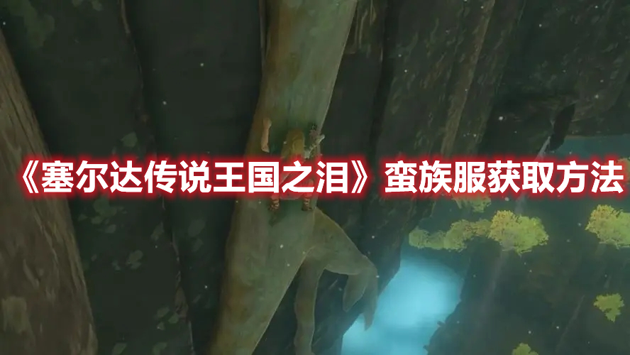 《塞爾達(dá)傳說王國(guó)之淚》蠻族服獲取方法