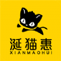 涎猫惠