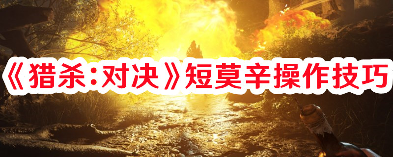 《獵殺：對(duì)決》短莫辛操作技巧