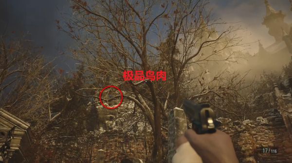 《生化危機8》高級肉類素材在哪里獲取