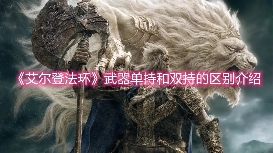 《艾爾登法環(huán)》武器單持和雙持的區(qū)別介紹