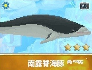 《潛水員戴夫》南露脊海豚拍照任務(wù)攻略