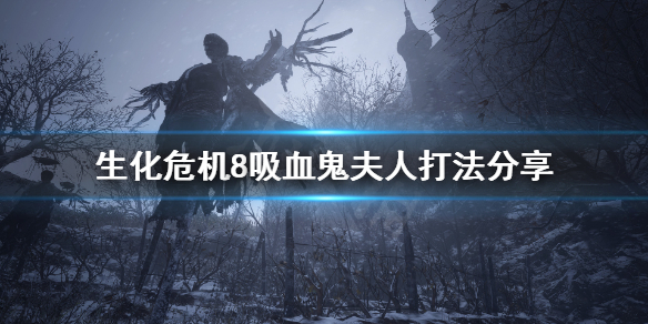 生化危機(jī)8吸血鬼夫人打法介紹