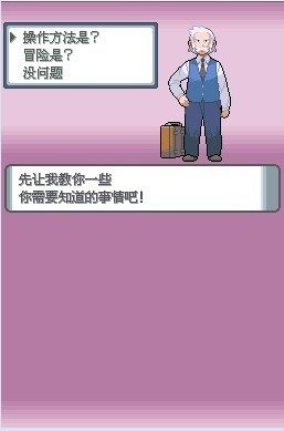 口袋妖怪珍珠