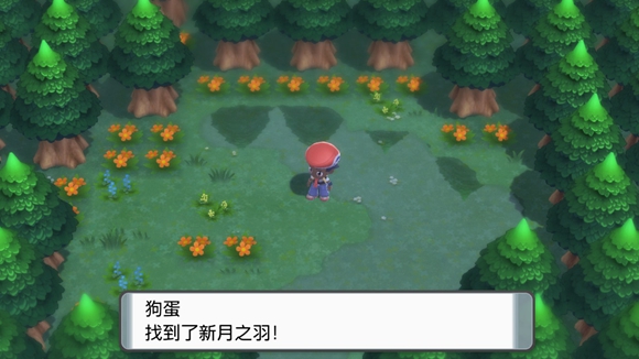 《寶可夢晶燦鉆石明亮珍珠》二周目圖文攻略流程分享