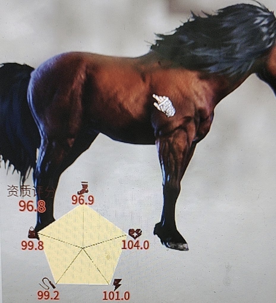 《帝國神話》最高品質(zhì)的馬匹獲取方法介紹