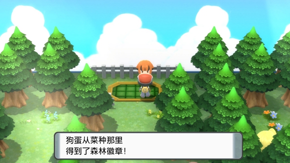 《寶可夢晶燦鉆石明亮珍珠》一周目圖文攻略分享