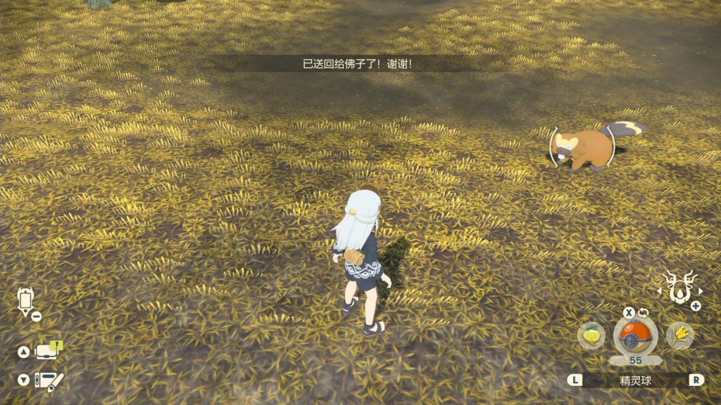 《寶可夢傳說阿爾宙斯》遺失物通訊歸還流程分享