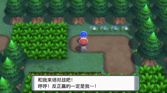 《寶可夢晶燦鉆石明亮珍珠》一周目圖文攻略分享