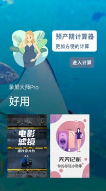 录屏大师Pro