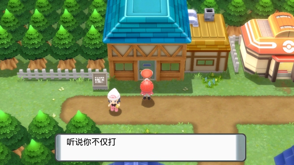 《寶可夢晶燦鉆石明亮珍珠》二周目圖文攻略流程分享