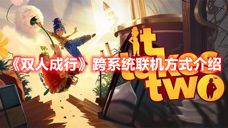 《雙人成行》跨系統(tǒng)聯(lián)機(jī)方式介紹
