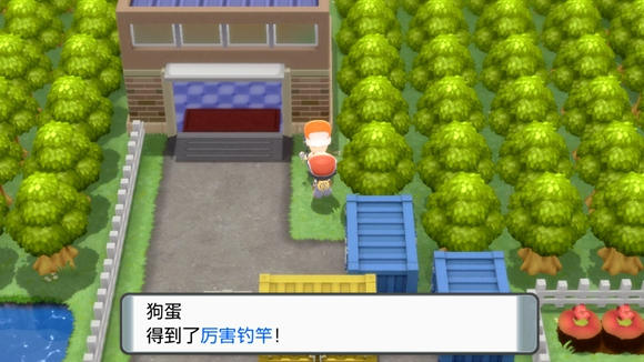 《寶可夢晶燦鉆石明亮珍珠》二周目圖文攻略流程分享