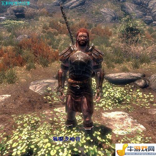 《上古卷軸5：天際》全部龍吼獲取地點(diǎn)與法術(shù)功能解析
