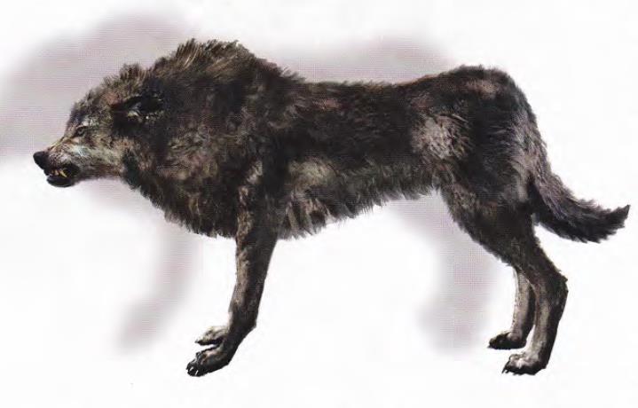 《古墓麗影9》敵人資料一覽